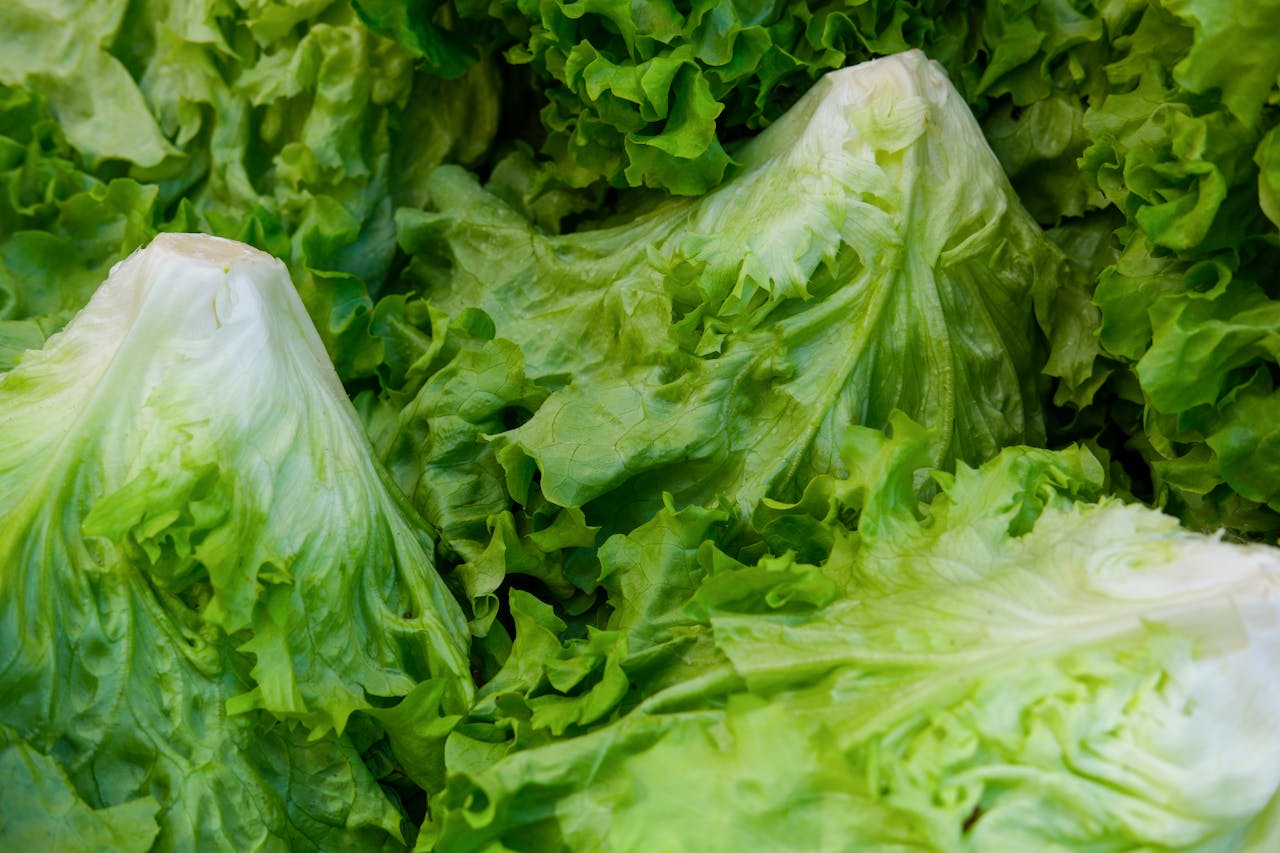 A vibrant close-up image showcasing fresh, crisp green lettuce leaves, perfect for healthy salads.